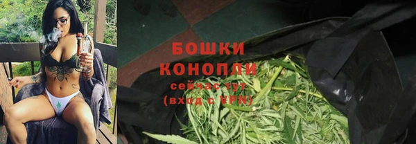 эйфоретик Гусев
