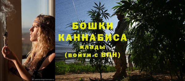 дживик Горнозаводск