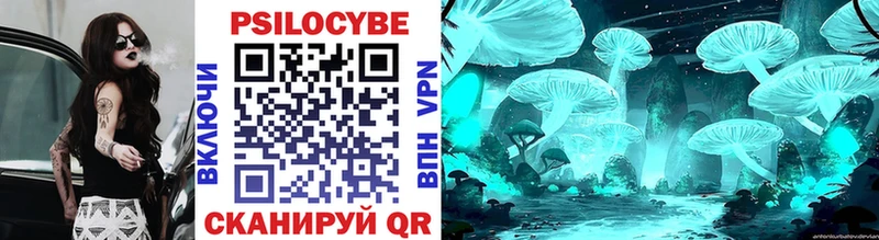 Псилоцибиновые грибы Psilocybe  сколько стоит  Пушкино 